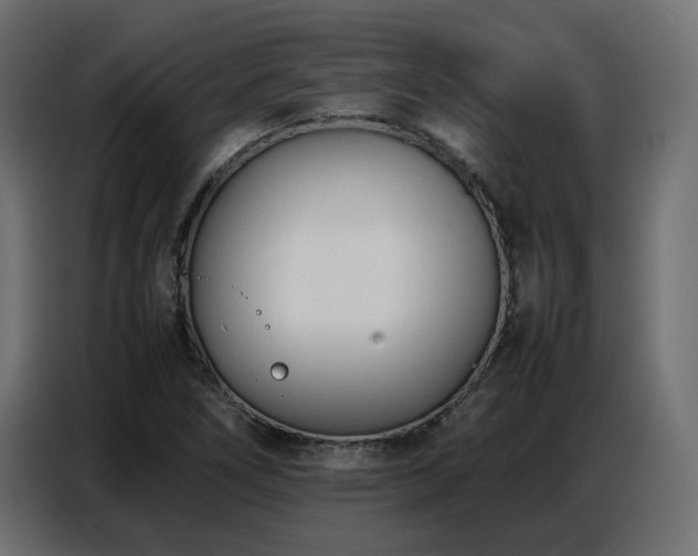 X0000087751266200705071106