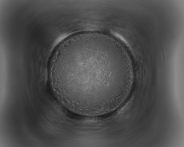 X0000087751267200705071106