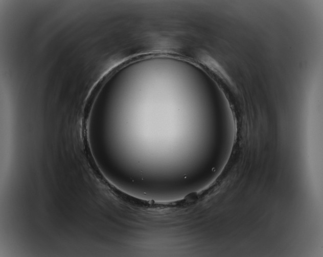 X0000087751268200705071106