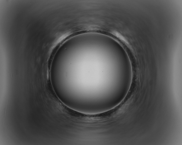 X0000087751269200705071106