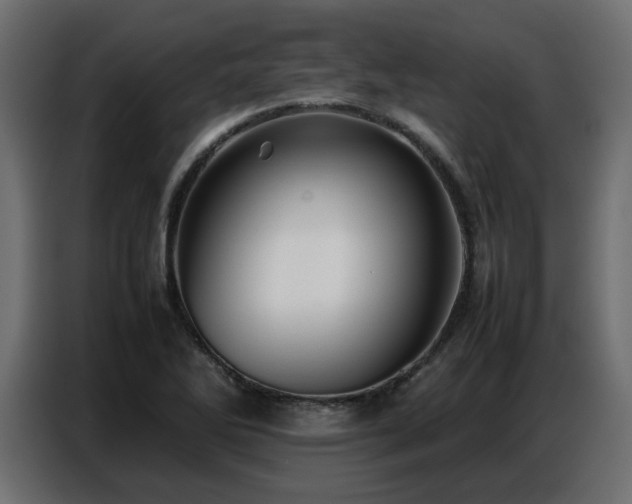 X0000087751270200705071106
