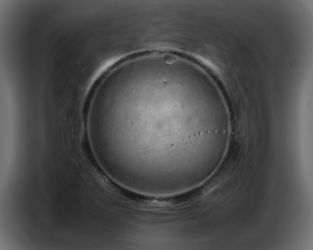 X0000087751271200705071106