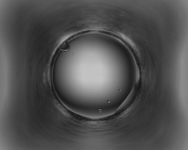 X0000087751272200705071106