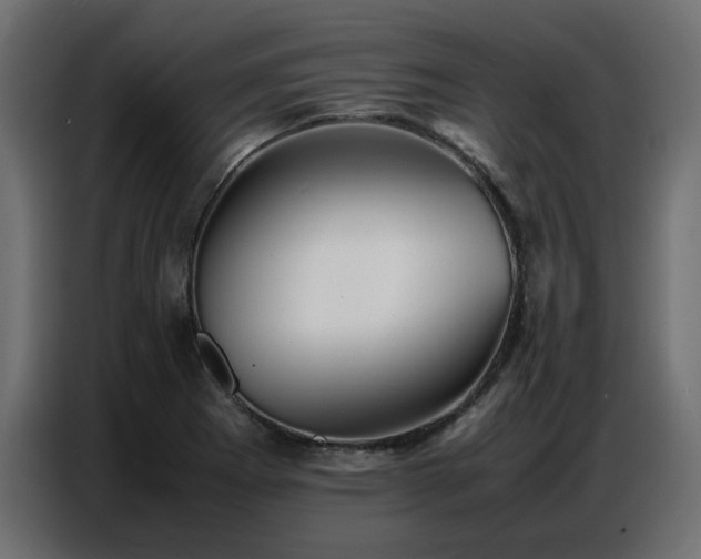X0000087751273200705071106