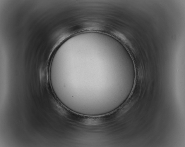 X0000087751274200705071106