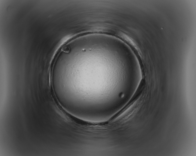X0000087751275200705071106