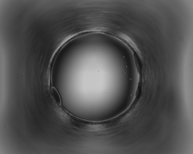 X0000087751276200705071106