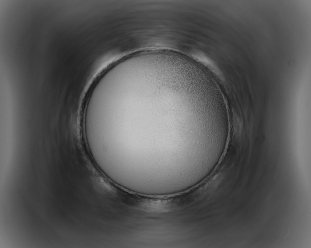 X0000087751278200705071106