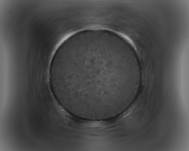 X0000087751279200705071106