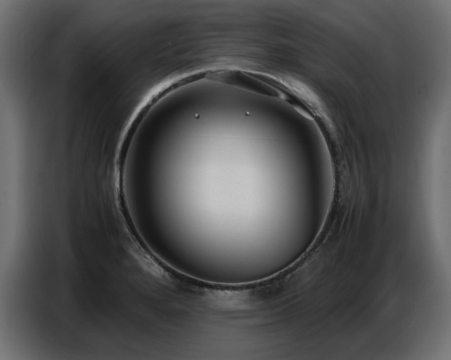 X0000087751280200705071106