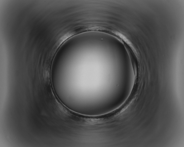 X0000087751281200705071106