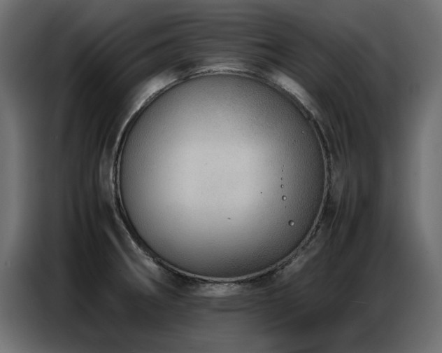 X0000087751282200705071106
