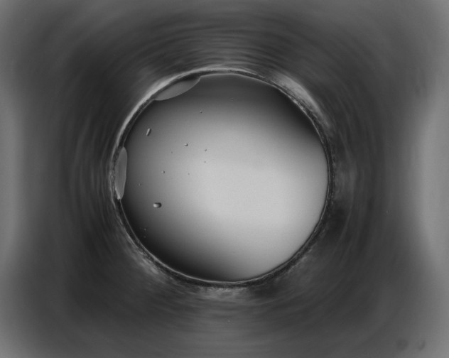 X0000087751284200705071106