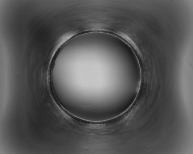 X0000087751285200705071106