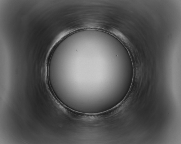 X0000087751286200705071106