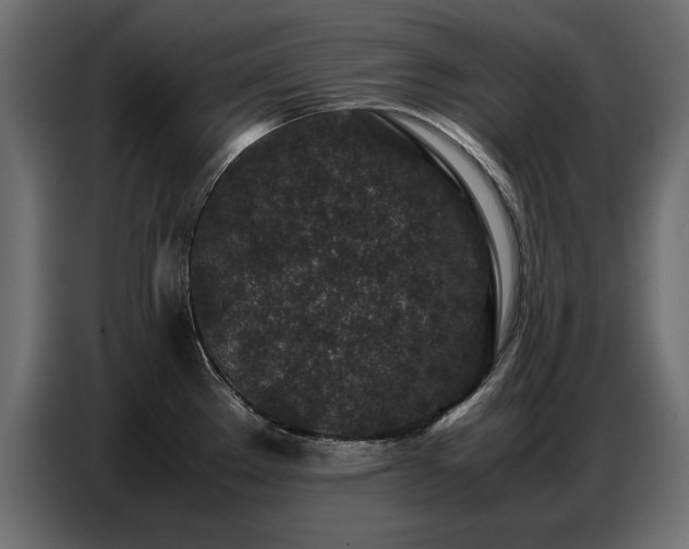 X0000087751289200705071105