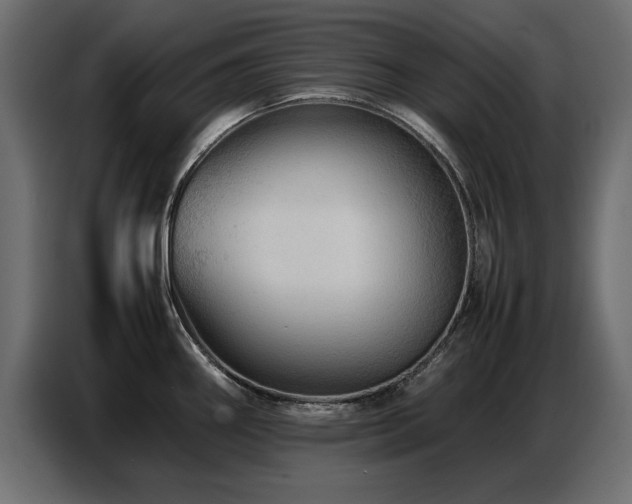X0000087751290200705071105