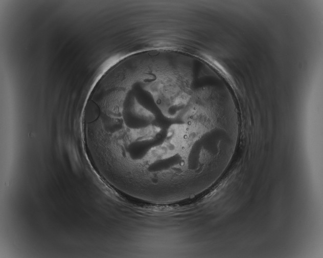 X0000087751291200705071105