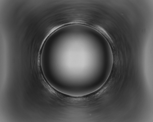 X0000087751292200705071105