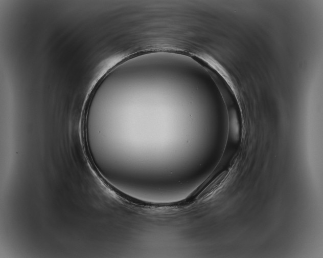 X0000087751293200705071105