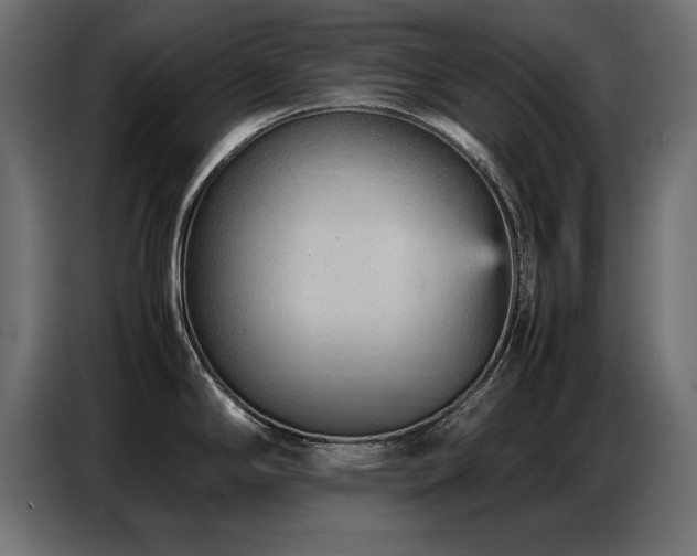 X0000087751294200705071105