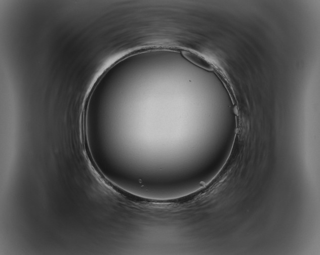 X0000087751295200705071105