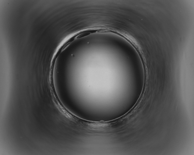 X0000087751296200705071105