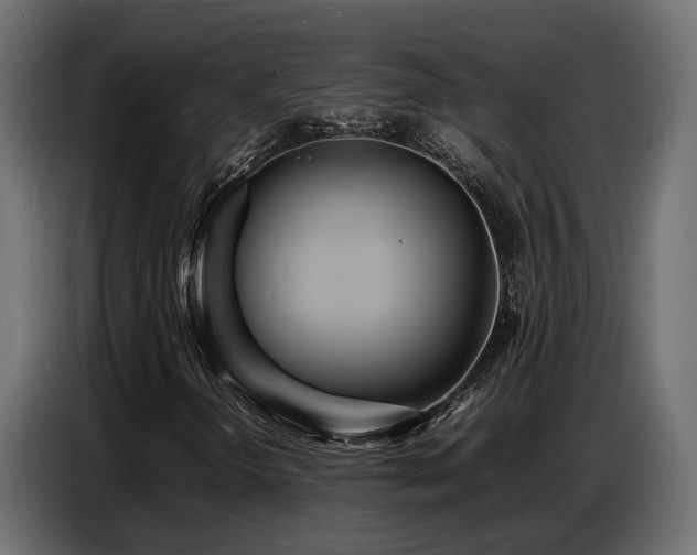 X0000087751298200705071105