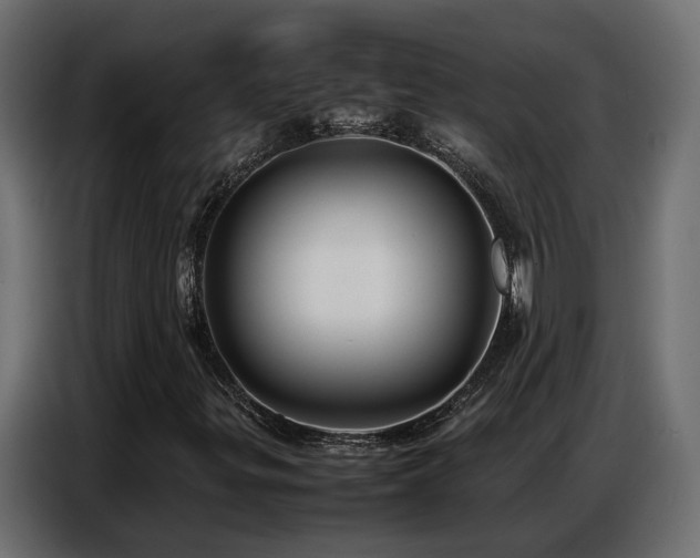 X0000087751299200705071105