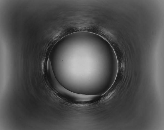 X0000087751300200705071105