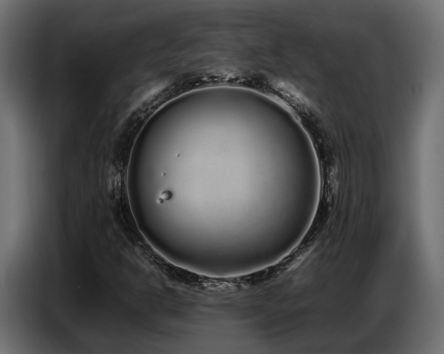 X0000087751302200705071105