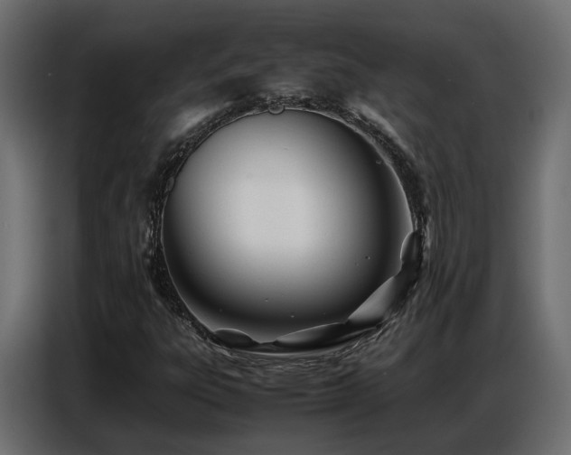 X0000087751303200705071105