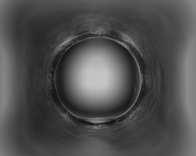 X0000087751304200705071105