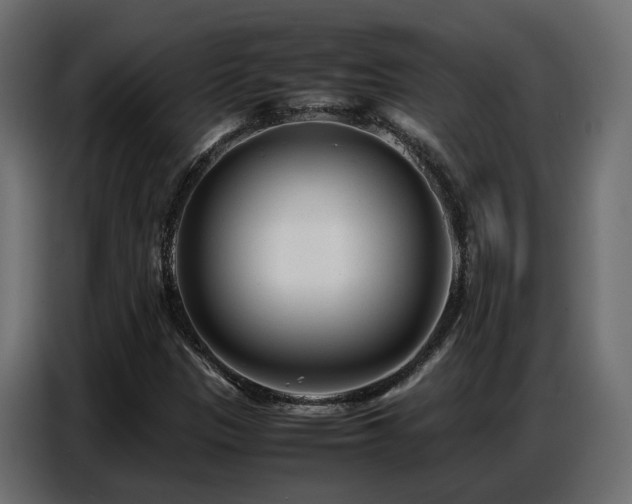 X0000087751305200705071105