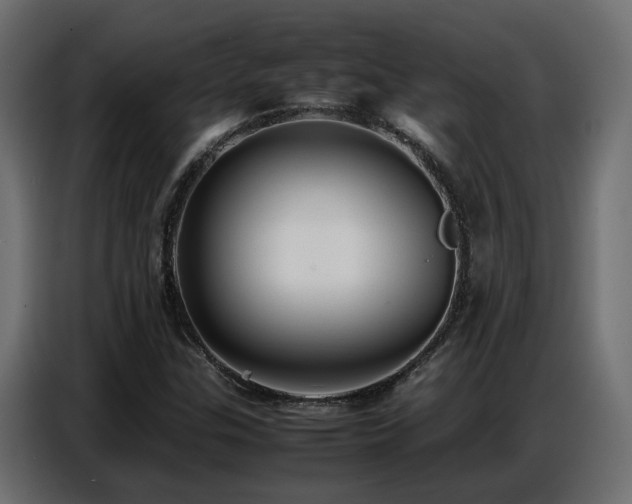 X0000087751307200705071105
