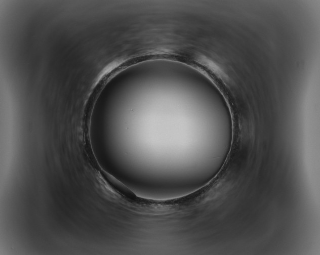 X0000087751308200705071105