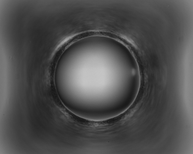 X0000087751311200705071105