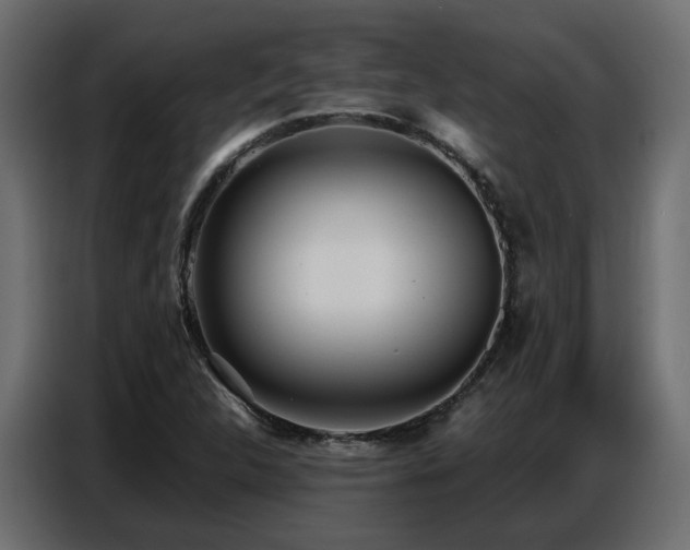X0000087751312200705071105