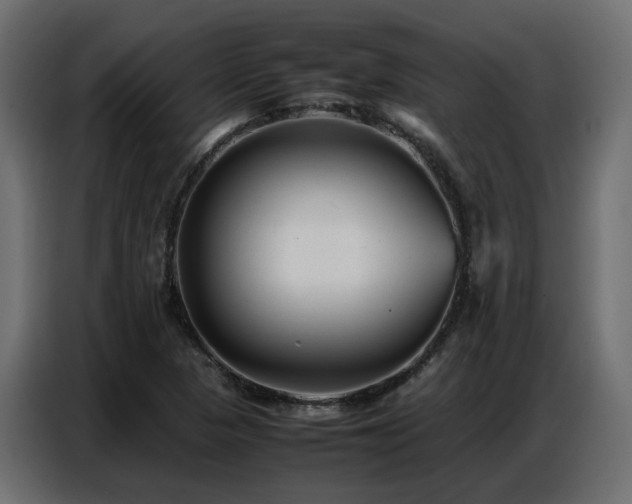 X0000087751313200705071105