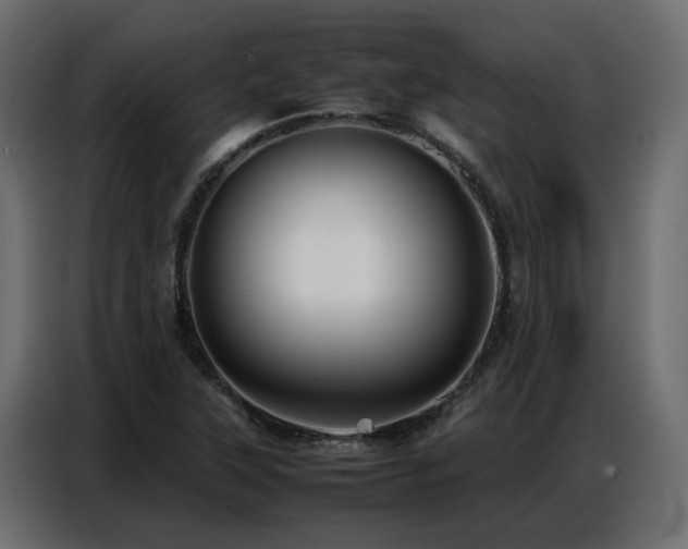 X0000087751315200705071105