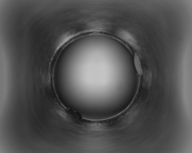 X0000087751316200705071105