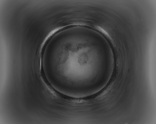 X0000087751323200705071105