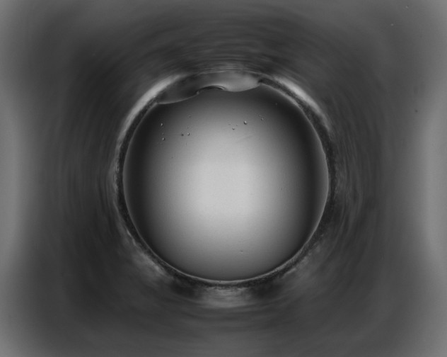 X0000087751325200705071105