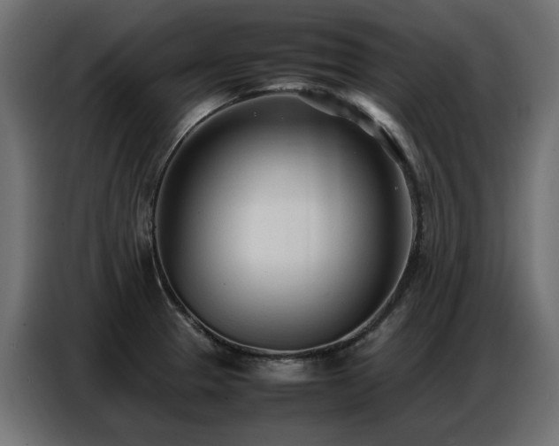 X0000087751329200705071105