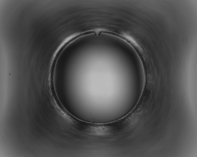 X0000087751331200705071105