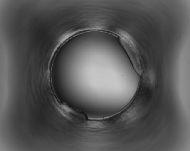 X0000087751332200705071105