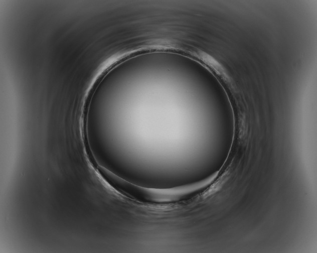 X0000087751334200705071105