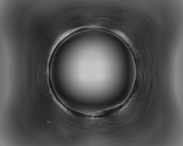 X0000087751335200705071105