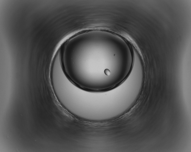 X0000087751336200705071105