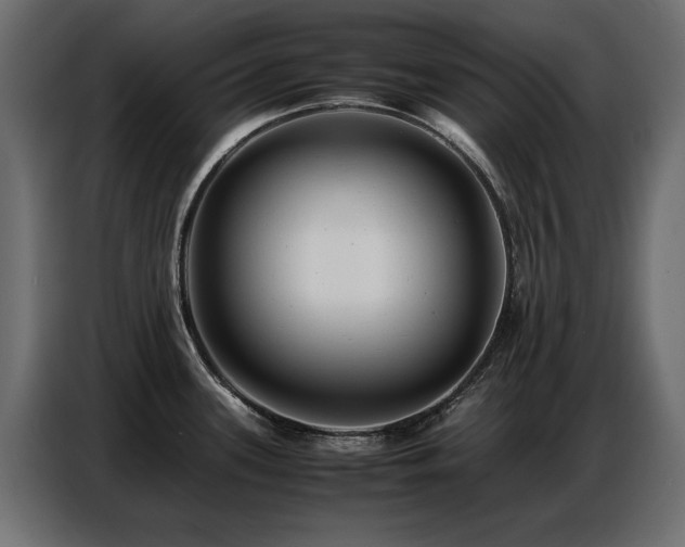 X0000087751339200705071105